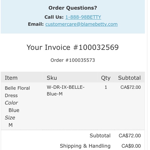 IXA Blue Belle Floral Dress - Picture 5 of 5